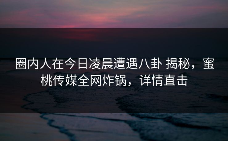 圈内人在今日凌晨遭遇八卦 揭秘，蜜桃传媒全网炸锅，详情直击
