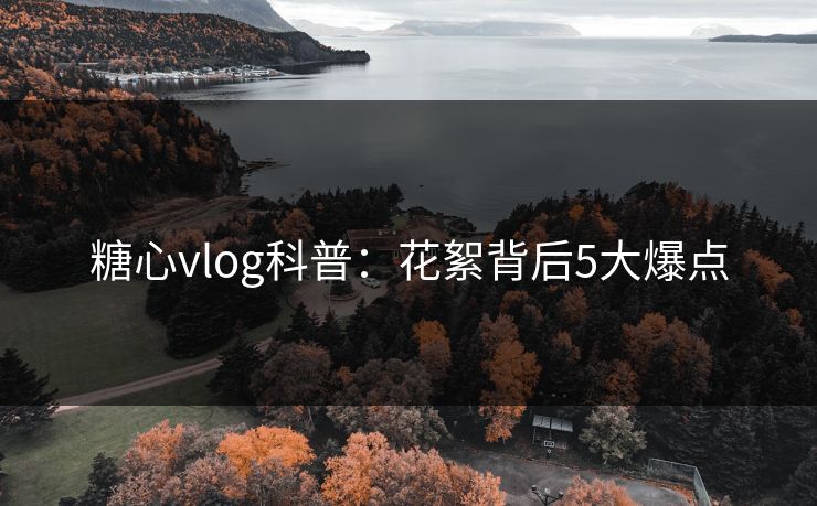 糖心vlog科普：花絮背后5大爆点
